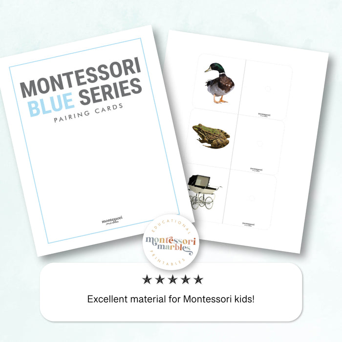 Montessori Blue Series Pairing Cards