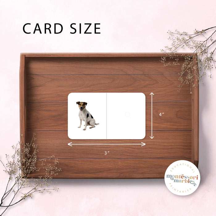 Montessori Pink Series Pairing Cards