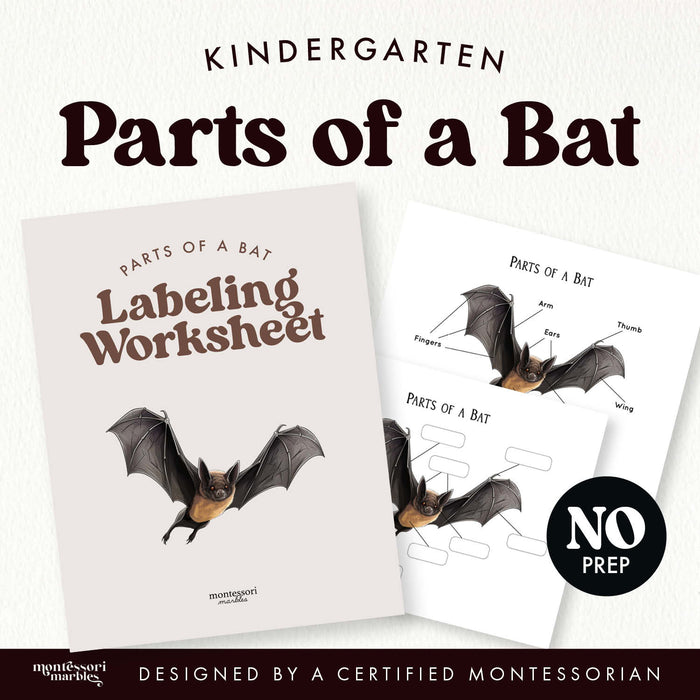 Parts of a Bat
