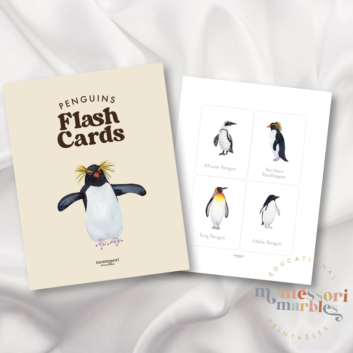 Penguins Flash Cards