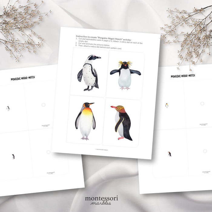 Penguins Magni-Match