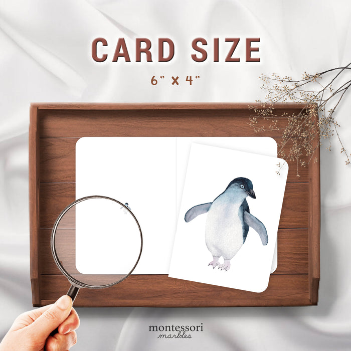 Penguins Magni-Match