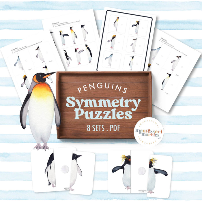 Penguins Symmetry Puzzles