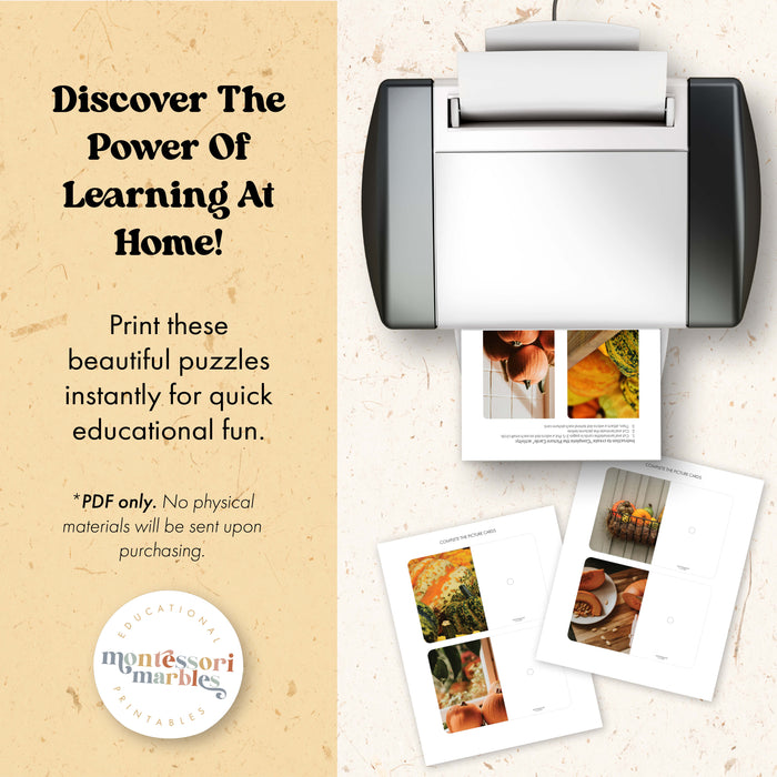 Pumpkins Complete the Pictures