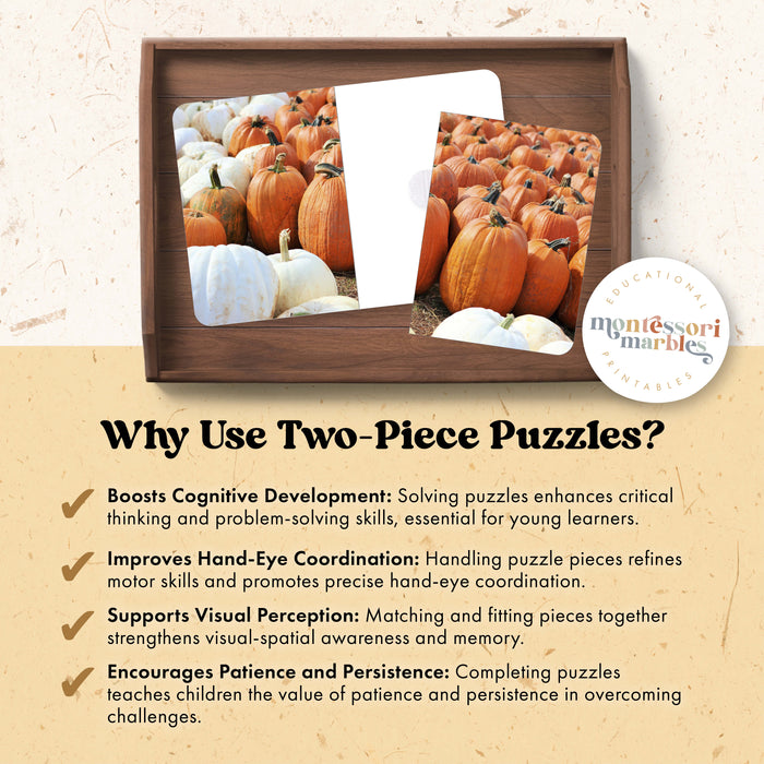 Pumpkins Complete the Pictures