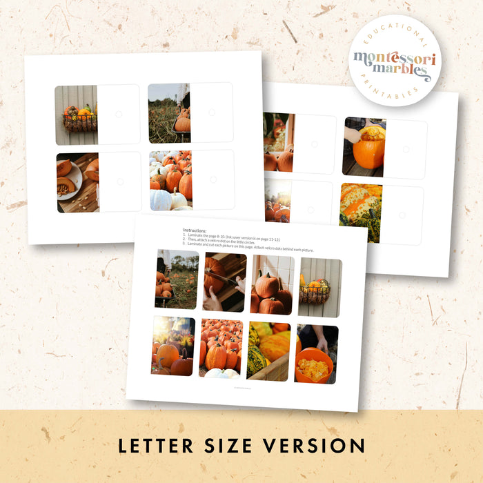 Pumpkins Complete the Pictures