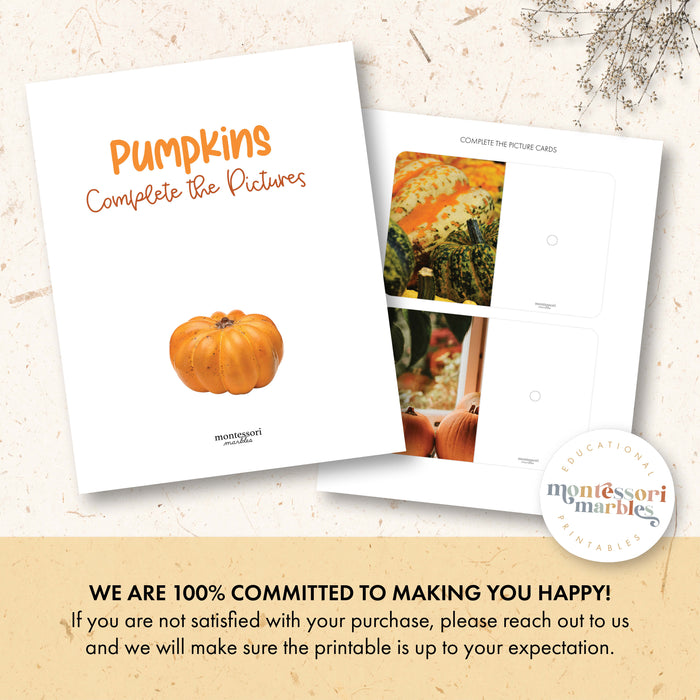 Pumpkins Complete the Pictures