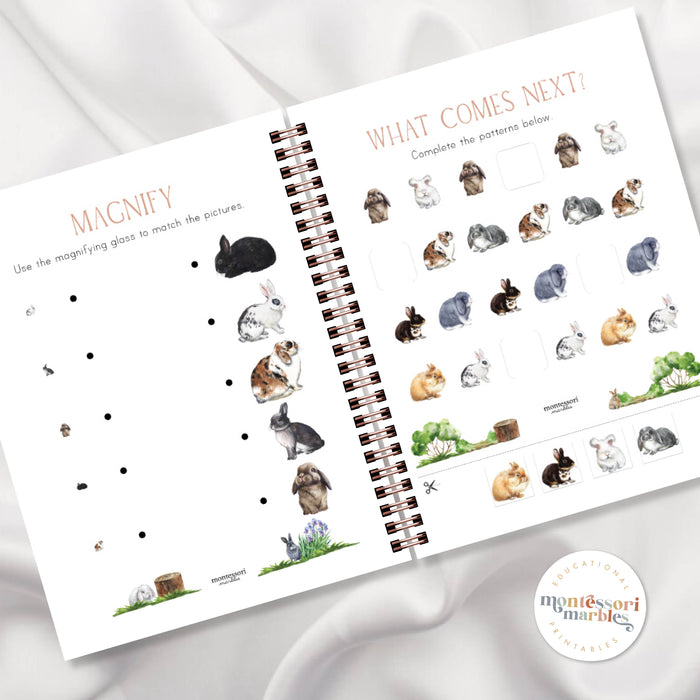 Rabbits Activity Workbook