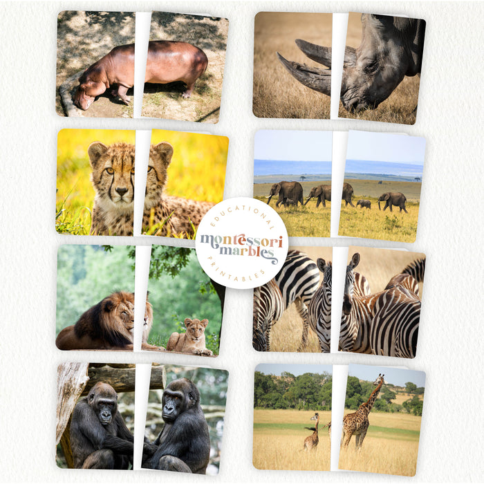 Safari Animals Complete The Pictures