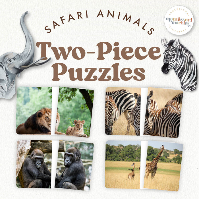 Safari Animals Complete The Pictures