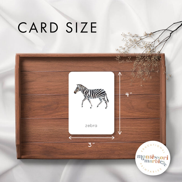 Safari Animals Flash Cards