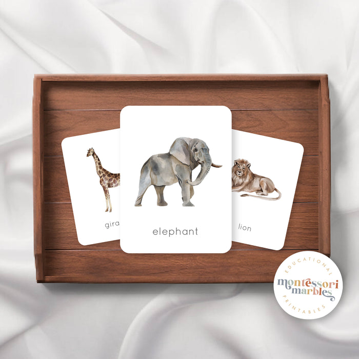 Safari Animals Flash Cards
