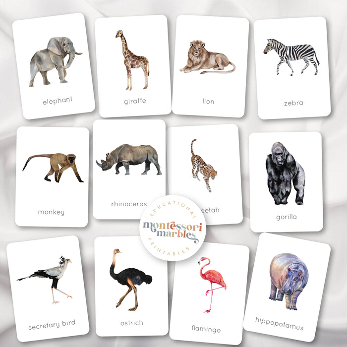 Safari Animals Flash Cards