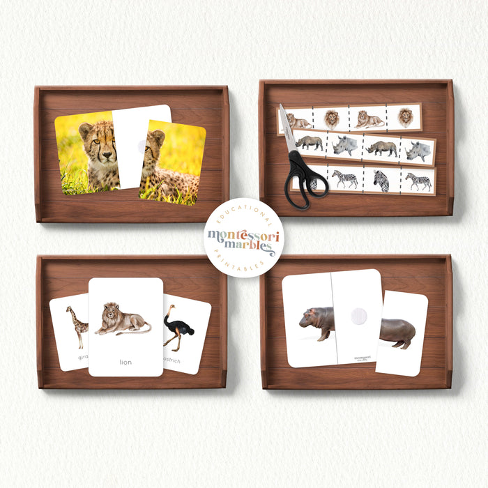Safari Animals Mini Bundle
