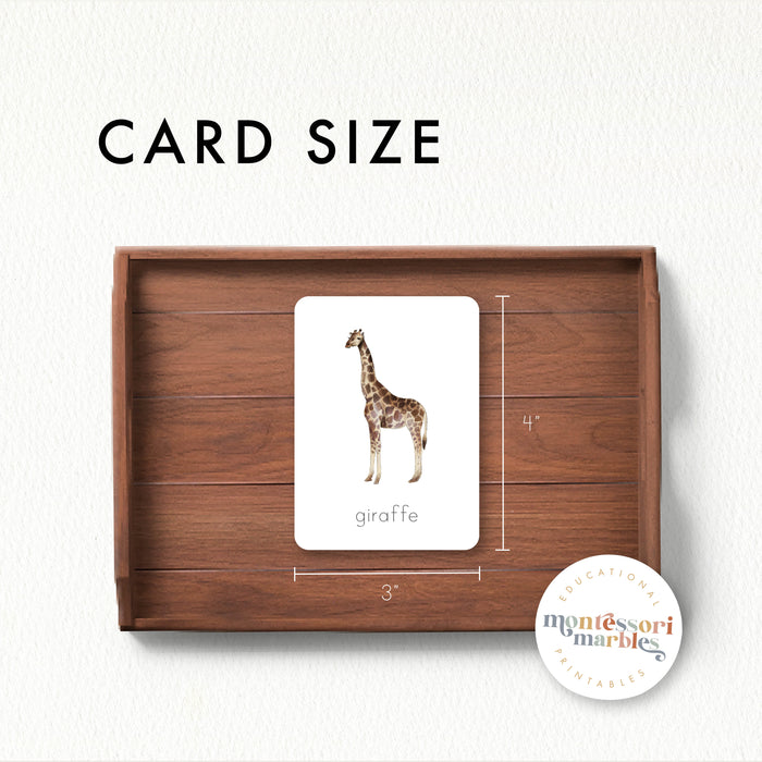 Safari Animals Nomenclature Cards
