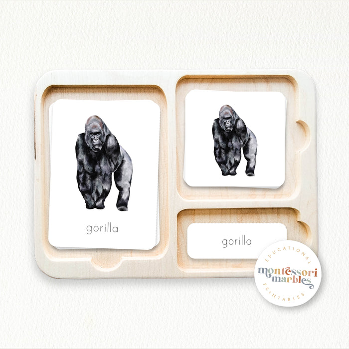 Safari Animals Nomenclature Cards