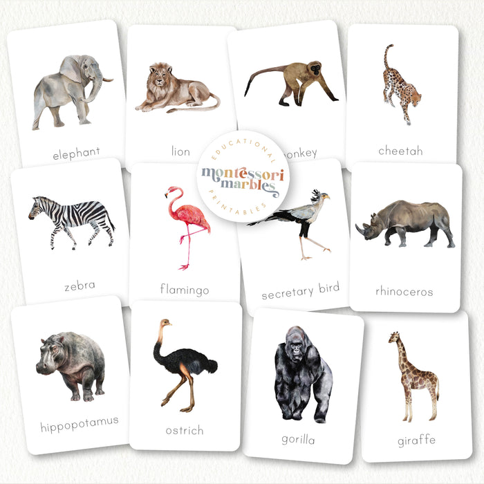 Safari Animals Nomenclature Cards