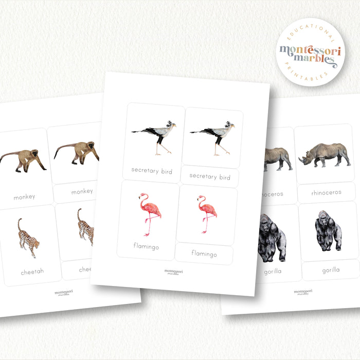 Safari Animals Nomenclature Cards