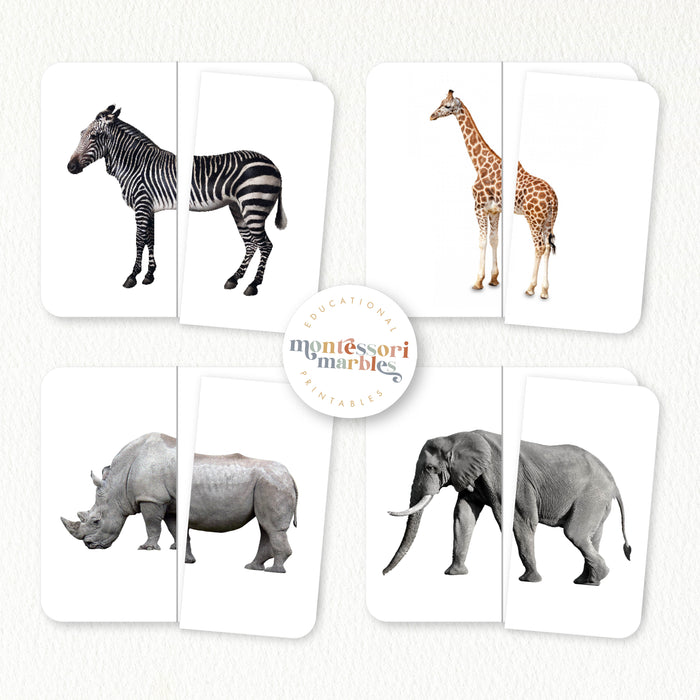 Safari Animals Symmetry Puzzles