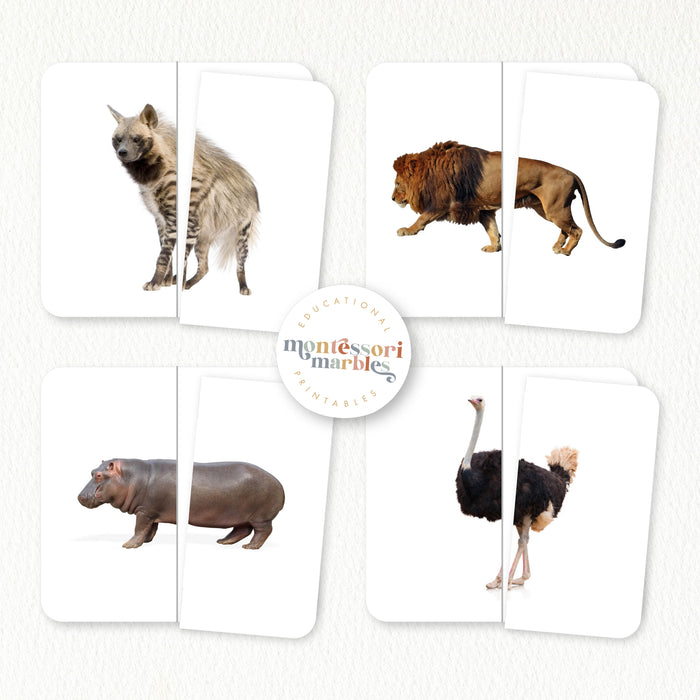 Safari Animals Symmetry Puzzles