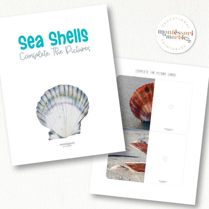 Seashells Complete The Pictures
