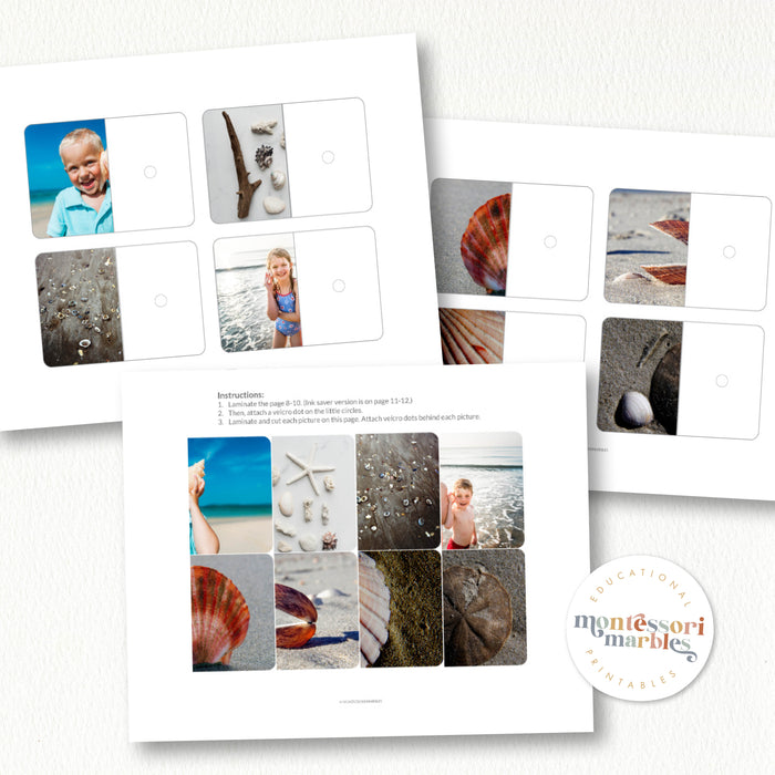 Seashells Complete The Pictures