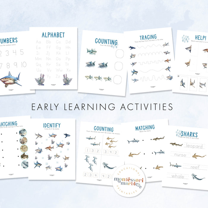 Sharks Activity Workbook
