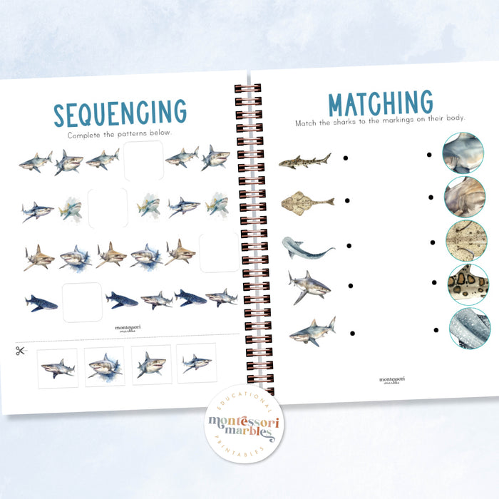 Sharks Activity Workbook