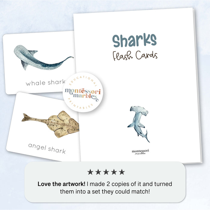 Sharks Flash Cards