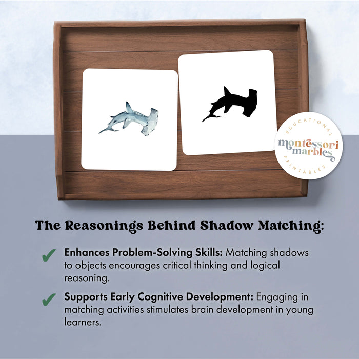 Sharks Shadow Matching