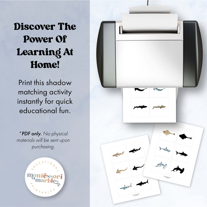 Sharks Shadow Matching