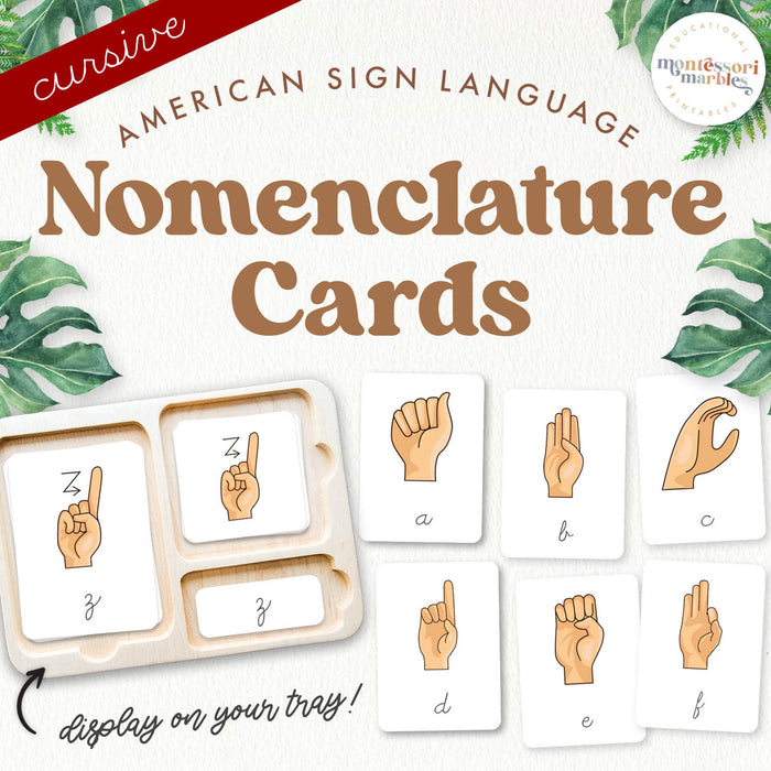 American Sign Language Nomenclature Cards | Cursive