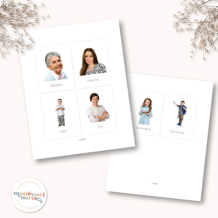 La Familia Tarjetas Didácticas