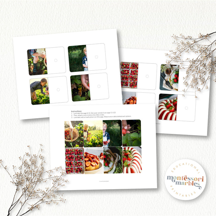 Strawberry Complete The Pictures