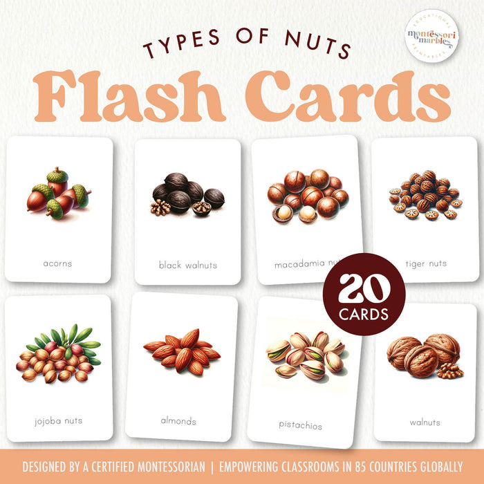 Types of Nuts Flash Cards