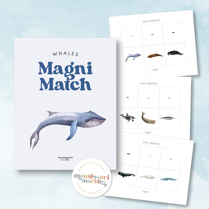 Whales Magni-Match