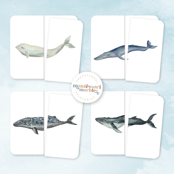 Whales Symmetry Puzzles