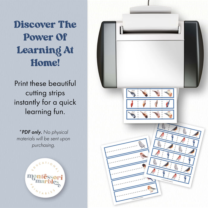 Winter Birds Cutting Strips