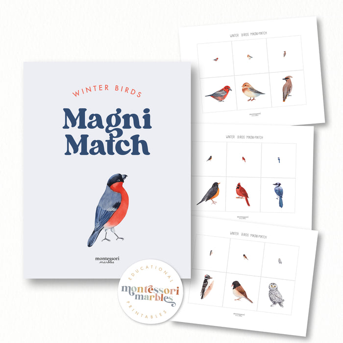 Winter Birds Magni-Match
