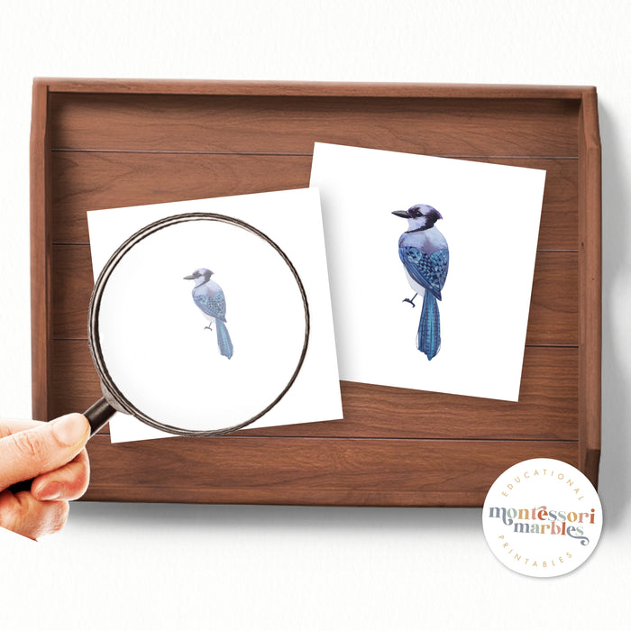 Winter Birds Magni-Match