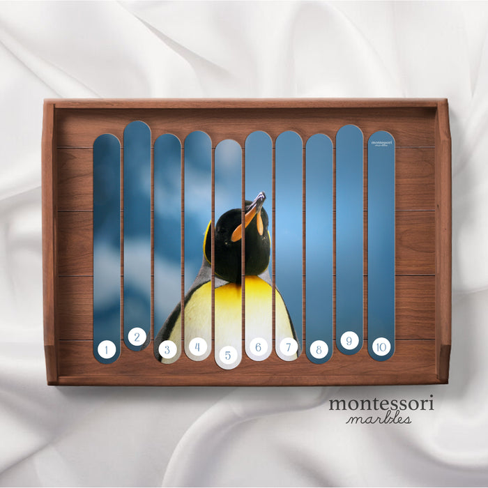 Polar Animals Skip Counting