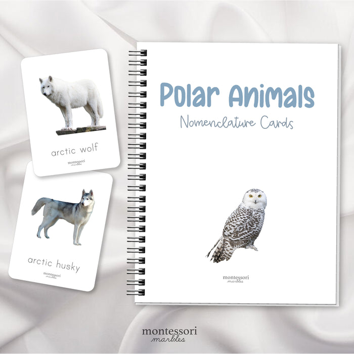 Polar Animals Nomenclature Cards