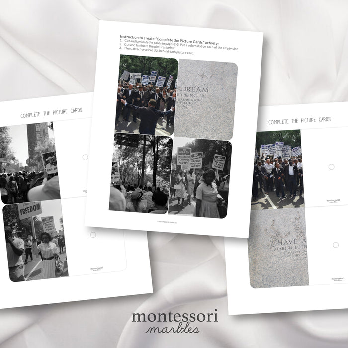 Martin Luther King Jr. Day Complete The Pictures