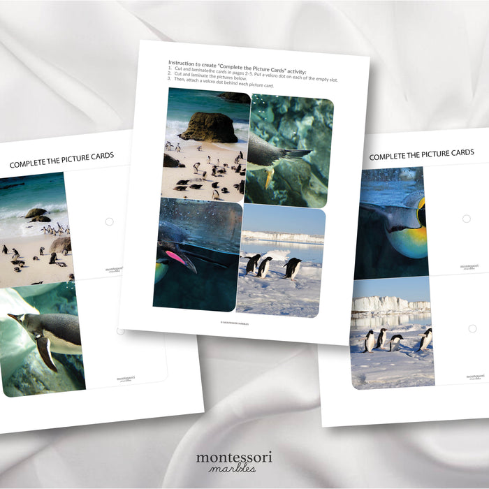 Penguins Complete the Pictures