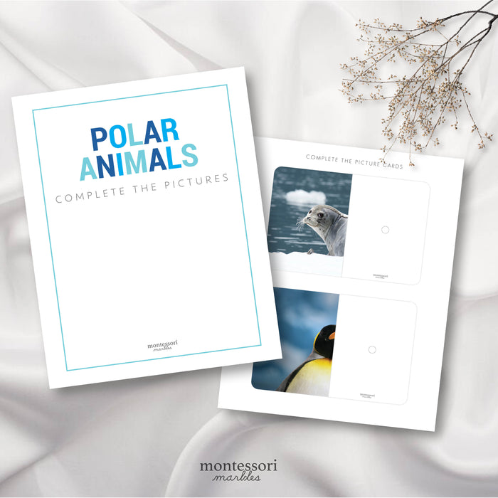 Polar Animals Complete the Pictures