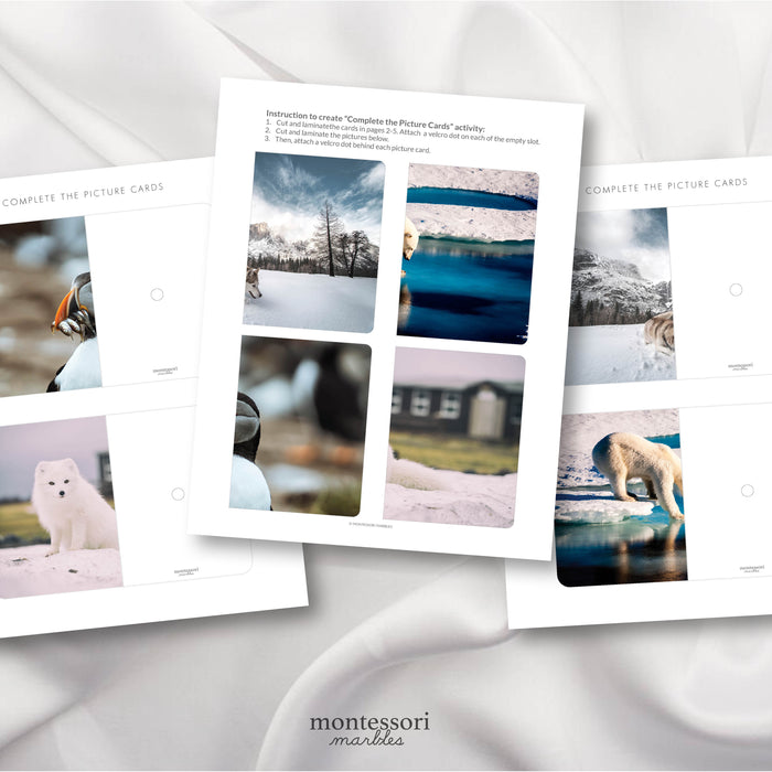 Polar Animals Complete the Pictures