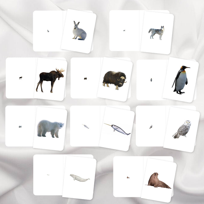 Polar Animals Mini Bundle