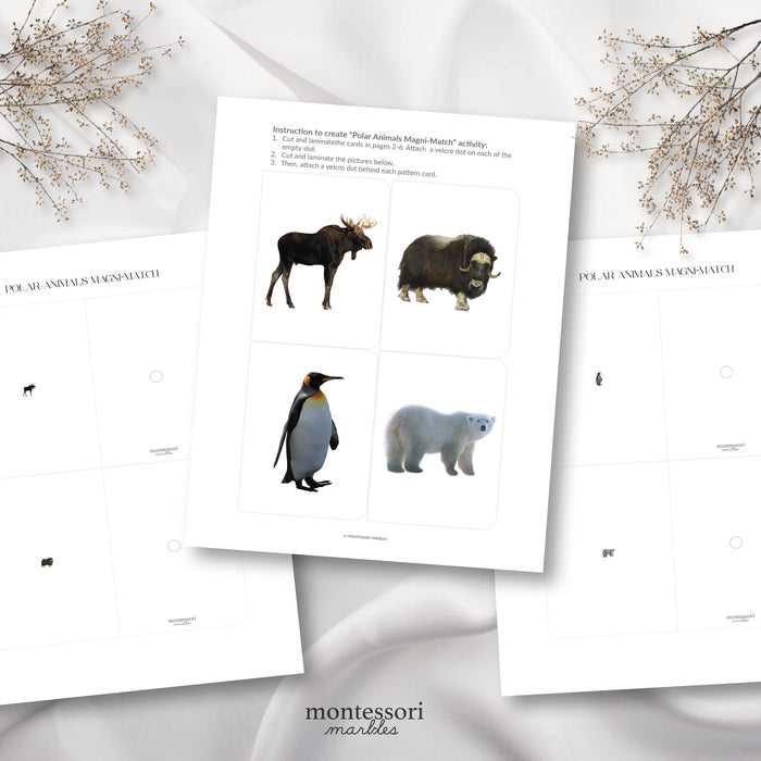 Polar Animals Magni-Match