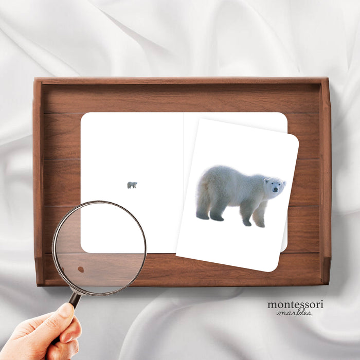 Polar Animals Magni-Match