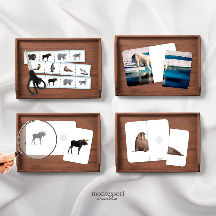 Polar Animals Mini Bundle